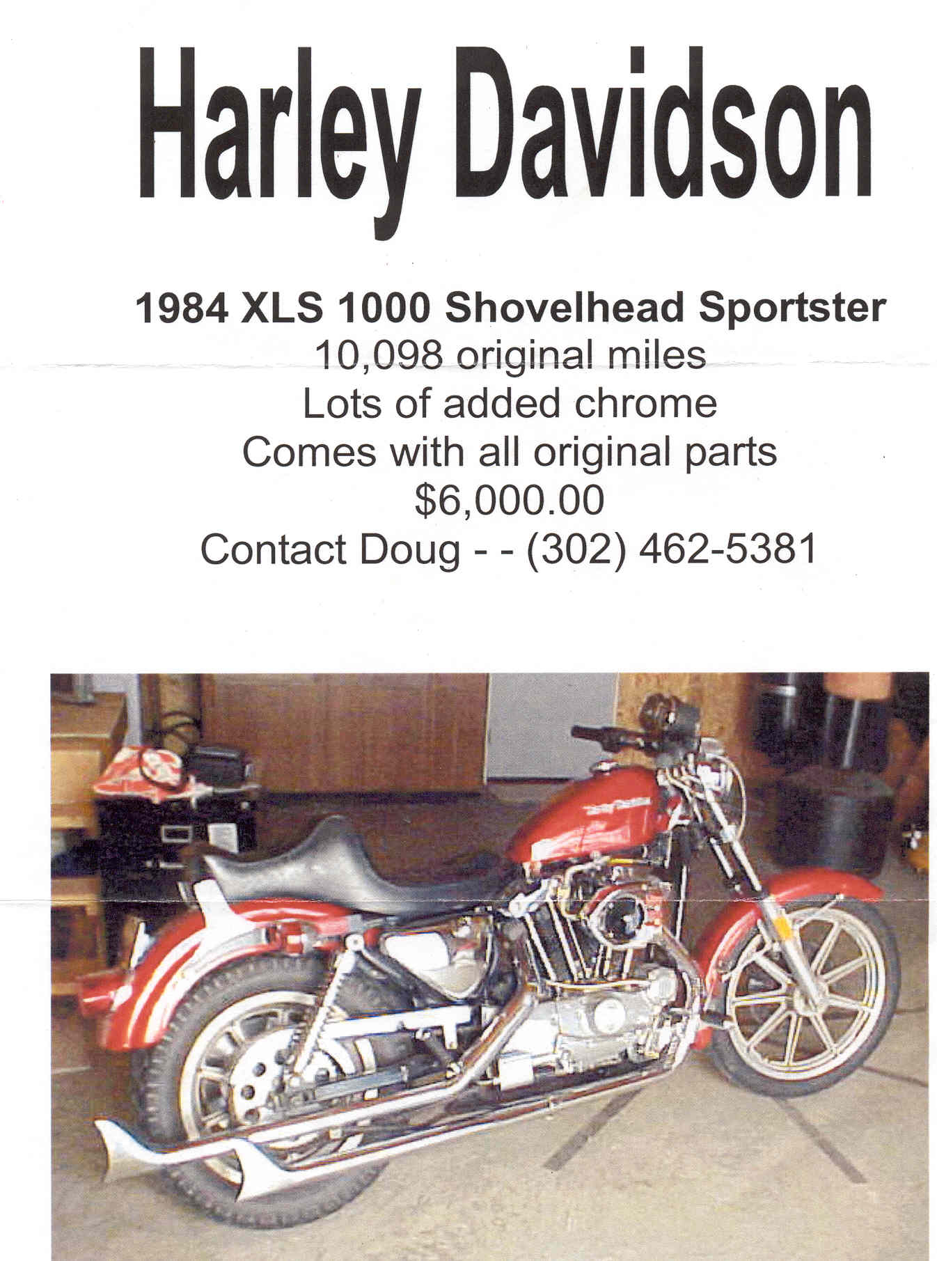 sportforsale.jpg